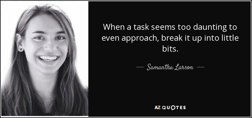 When a task seems too daunting to even approach, break it up into little bits. - Samantha Larson