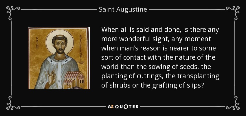 When all is said and done, is there any more wonderful sight, any moment when man's reason is nearer to some sort of contact with the nature of the world than the sowing of seeds, the planting of cuttings, the transplanting of shrubs or the grafting of slips? - Saint Augustine