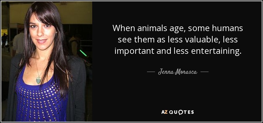 When animals age, some humans see them as less valuable, less important and less entertaining. - Jenna Morasca