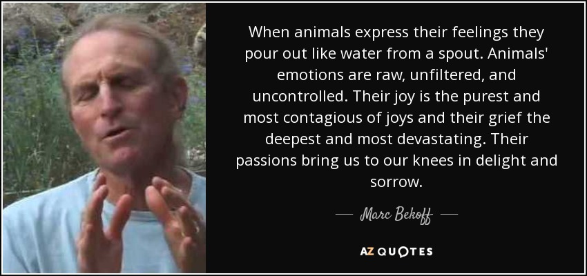 When animals express their feelings they pour out like water from a spout. Animals' emotions are raw, unfiltered, and uncontrolled. Their joy is the purest and most contagious of joys and their grief the deepest and most devastating. Their passions bring us to our knees in delight and sorrow. - Marc Bekoff