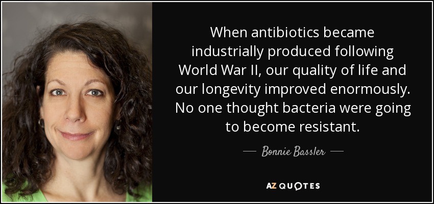 When antibiotics became industrially produced following World War II, our quality of life and our longevity improved enormously. No one thought bacteria were going to become resistant. - Bonnie Bassler