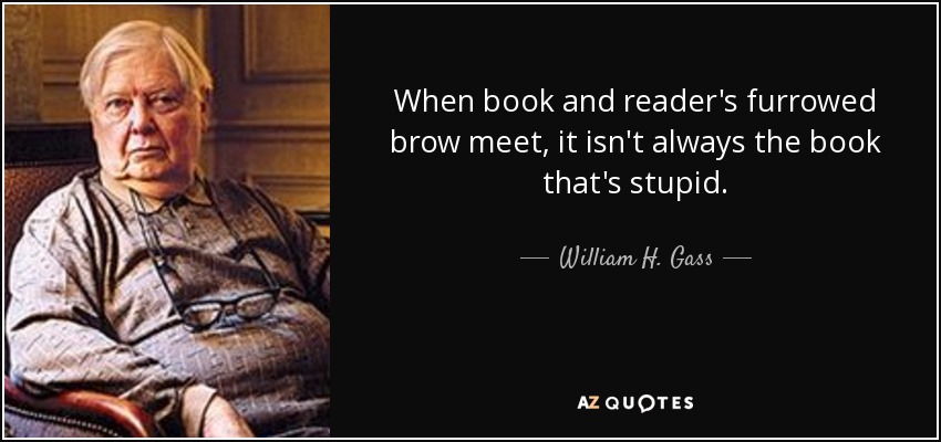 When book and reader's furrowed brow meet, it isn't always the book that's stupid. - William H. Gass