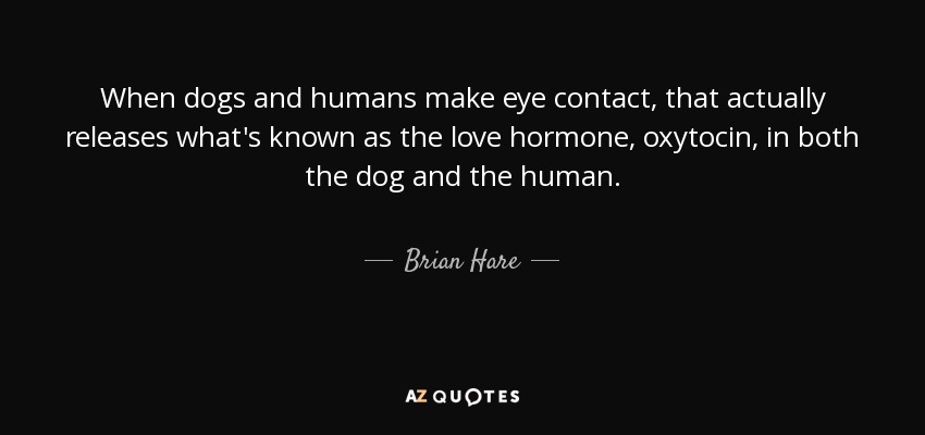 When dogs and humans make eye contact, that actually releases what's known as the love hormone, oxytocin, in both the dog and the human. - Brian Hare