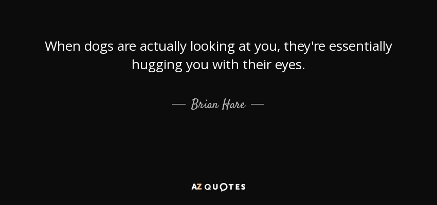 When dogs are actually looking at you, they're essentially hugging you with their eyes. - Brian Hare