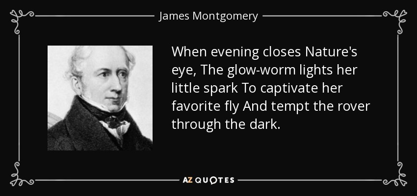When evening closes Nature's eye, The glow-worm lights her little spark To captivate her favorite fly And tempt the rover through the dark. - James Montgomery