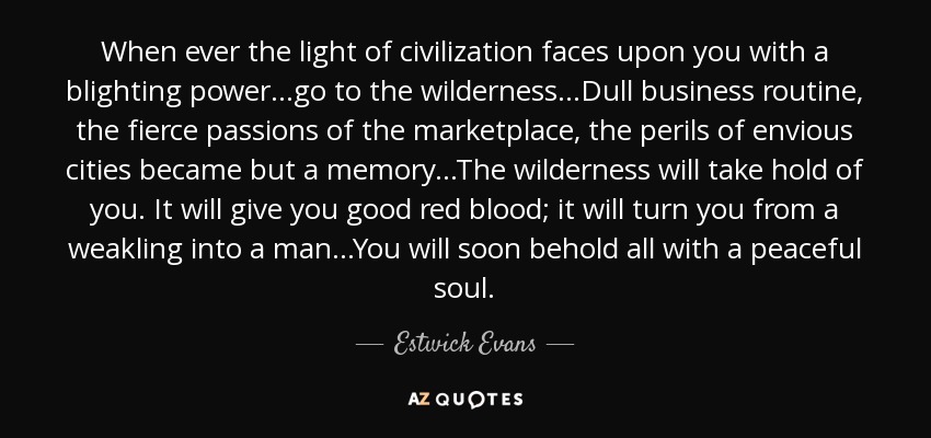 When ever the light of civilization faces upon you with a blighting power...go to the wilderness...Dull business routine, the fierce passions of the marketplace, the perils of envious cities became but a memory...The wilderness will take hold of you. It will give you good red blood; it will turn you from a weakling into a man...You will soon behold all with a peaceful soul. - Estwick Evans