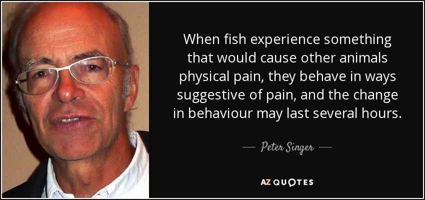 When fish experience something that would cause other animals physical pain, they behave in ways suggestive of pain, and the change in behaviour may last several hours. - Peter Singer