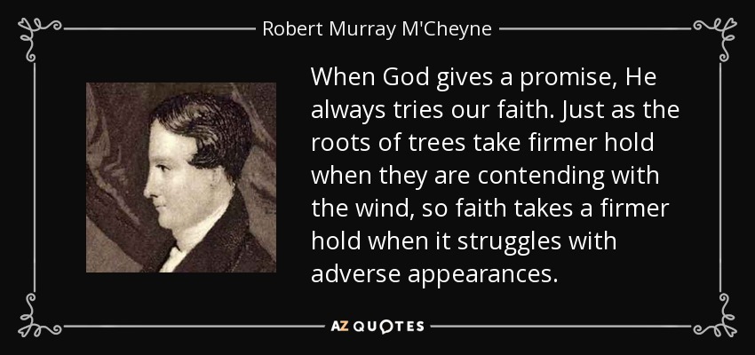 When God gives a promise, He always tries our faith. Just as the roots of trees take firmer hold when they are contending with the wind, so faith takes a firmer hold when it struggles with adverse appearances. - Robert Murray M'Cheyne