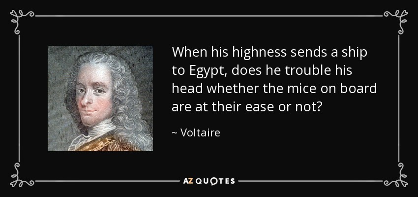 When his highness sends a ship to Egypt, does he trouble his head whether the mice on board are at their ease or not? - Voltaire