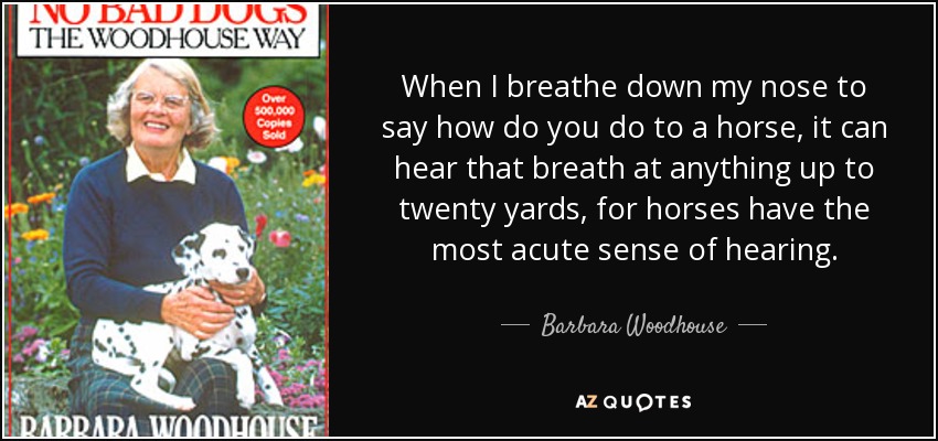 When I breathe down my nose to say how do you do to a horse, it can hear that breath at anything up to twenty yards, for horses have the most acute sense of hearing. - Barbara Woodhouse