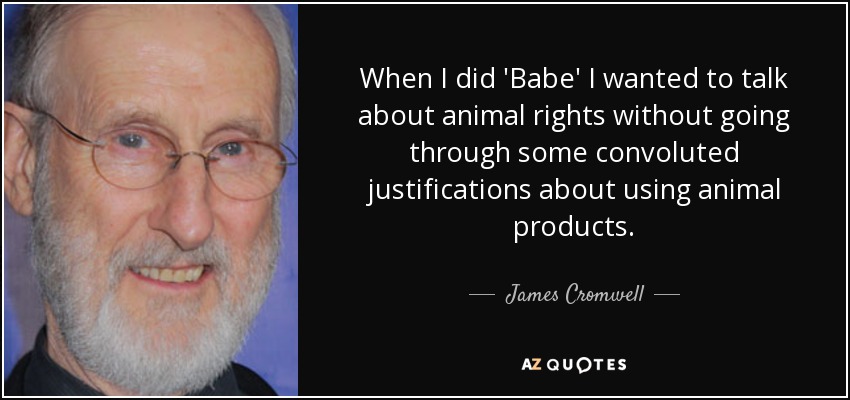 When I did 'Babe' I wanted to talk about animal rights without going through some convoluted justifications about using animal products. - James Cromwell
