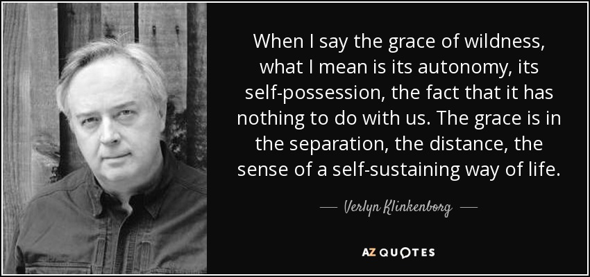 When I say the grace of wildness, what I mean is its autonomy, its self-possession, the fact that it has nothing to do with us. The grace is in the separation, the distance, the sense of a self-sustaining way of life. - Verlyn Klinkenborg