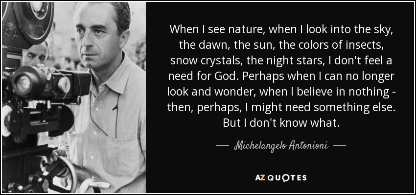 When I see nature, when I look into the sky, the dawn, the sun, the colors of insects, snow crystals, the night stars, I don't feel a need for God. Perhaps when I can no longer look and wonder, when I believe in nothing - then, perhaps, I might need something else. But I don't know what. - Michelangelo Antonioni