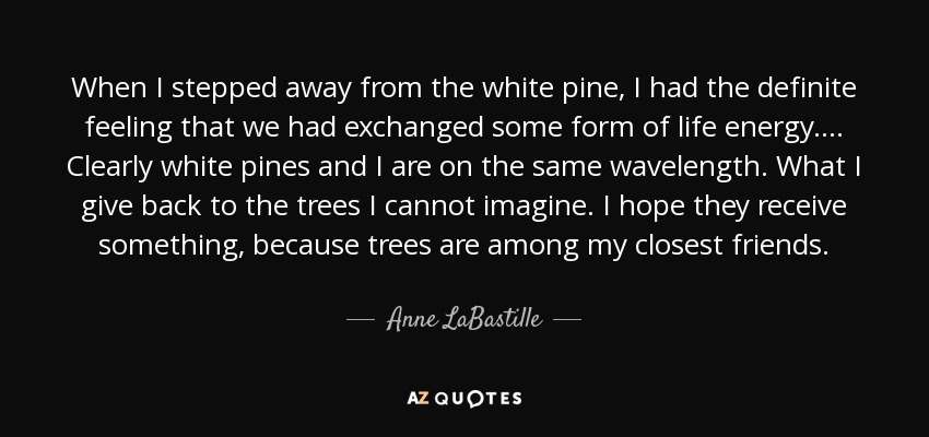 When I stepped away from the white pine, I had the definite feeling that we had exchanged some form of life energy. ... Clearly white pines and I are on the same wavelength. What I give back to the trees I cannot imagine. I hope they receive something, because trees are among my closest friends. - Anne LaBastille