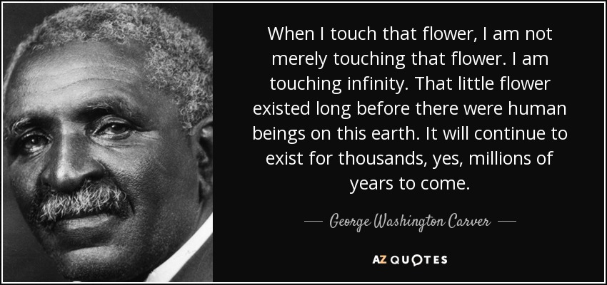 When I touch that flower, I am not merely touching that flower. I am touching infinity. That little flower existed long before there were human beings on this earth. It will continue to exist for thousands, yes, millions of years to come. - George Washington Carver