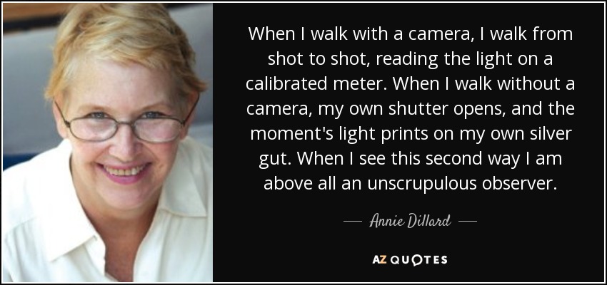 When I walk with a camera, I walk from shot to shot, reading the light on a calibrated meter. When I walk without a camera, my own shutter opens, and the moment's light prints on my own silver gut. When I see this second way I am above all an unscrupulous observer. - Annie Dillard