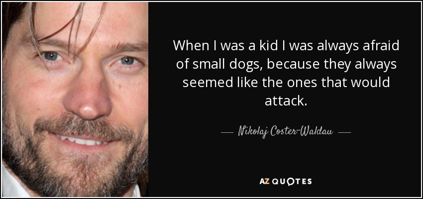 When I was a kid I was always afraid of small dogs, because they always seemed like the ones that would attack. - Nikolaj Coster-Waldau