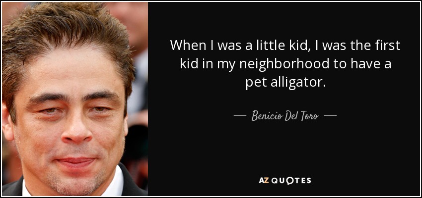 When I was a little kid, I was the first kid in my neighborhood to have a pet alligator. - Benicio Del Toro