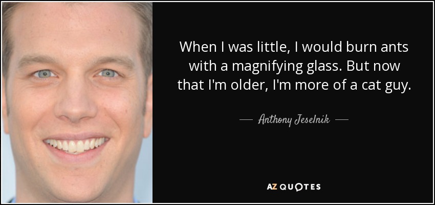 When I was little, I would burn ants with a magnifying glass. But now that I'm older, I'm more of a cat guy. - Anthony Jeselnik