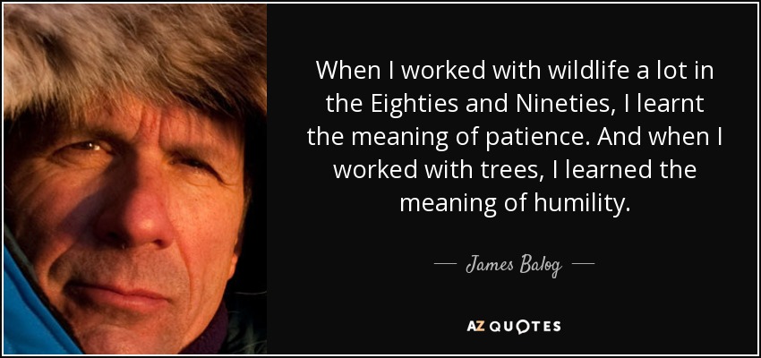 When I worked with wildlife a lot in the Eighties and Nineties, I learnt the meaning of patience. And when I worked with trees, I learned the meaning of humility. - James Balog
