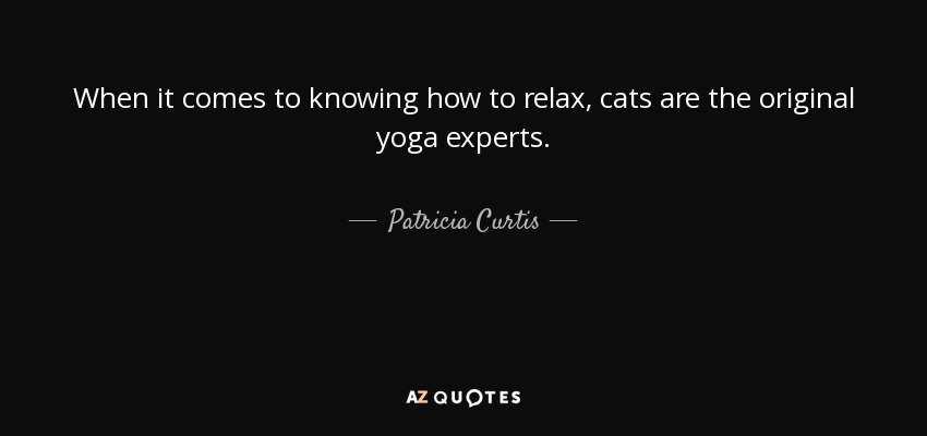 When it comes to knowing how to relax, cats are the original yoga experts. - Patricia Curtis