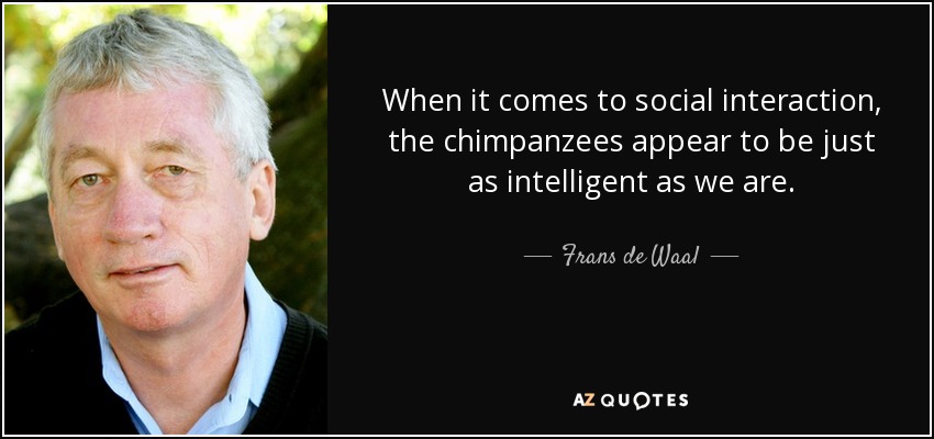When it comes to social interaction, the chimpanzees appear to be just as intelligent as we are. - Frans de Waal