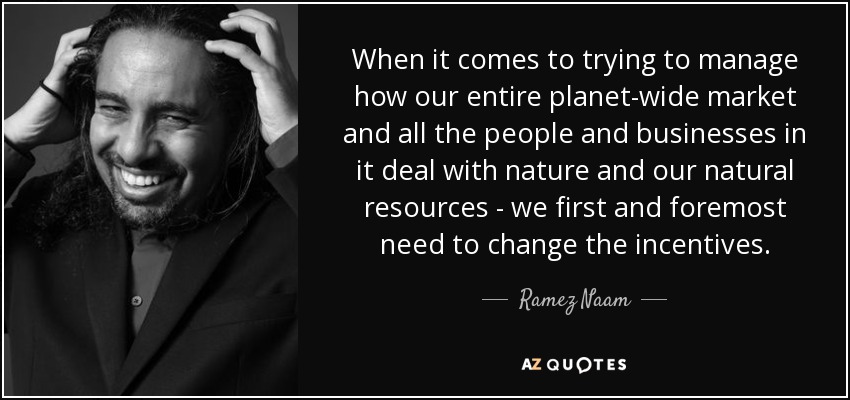 When it comes to trying to manage how our entire planet-wide market and all the people and businesses in it deal with nature and our natural resources - we first and foremost need to change the incentives. - Ramez Naam