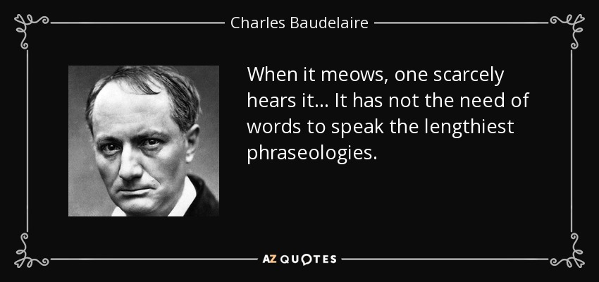 When it meows, one scarcely hears it... It has not the need of words to speak the lengthiest phraseologies. - Charles Baudelaire