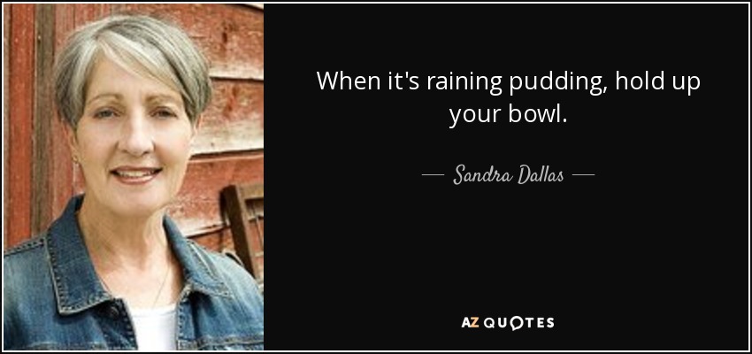 When it's raining pudding, hold up your bowl. - Sandra Dallas