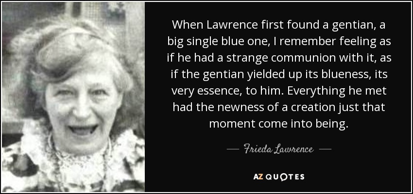 When Lawrence first found a gentian, a big single blue one, I remember feeling as if he had a strange communion with it, as if the gentian yielded up its blueness, its very essence, to him. Everything he met had the newness of a creation just that moment come into being. - Frieda Lawrence