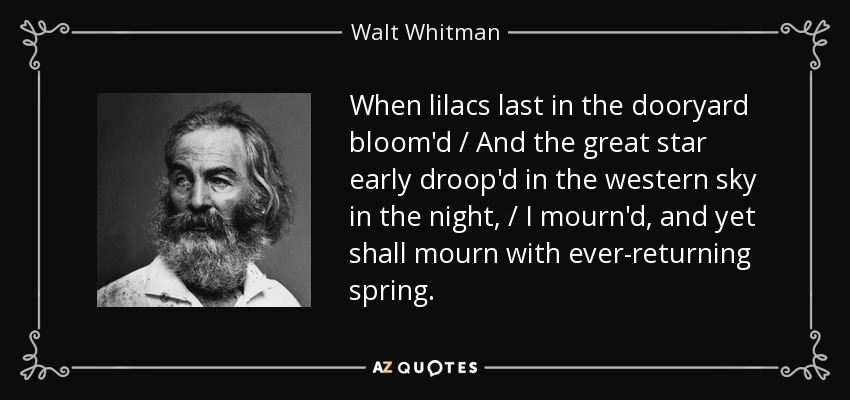 When lilacs last in the dooryard bloom'd / And the great star early droop'd in the western sky in the night, / I mourn'd, and yet shall mourn with ever-returning spring. - Walt Whitman