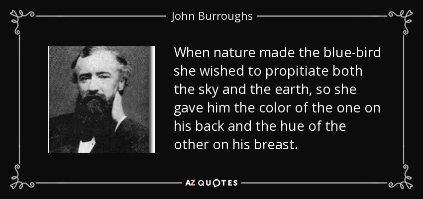 When nature made the blue-bird she wished to propitiate both the sky and the earth, so she gave him the color of the one on his back and the hue of the other on his breast. - John Burroughs