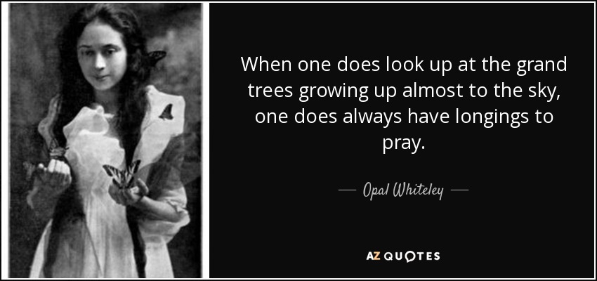 When one does look up at the grand trees growing up almost to the sky, one does always have longings to pray. - Opal Whiteley