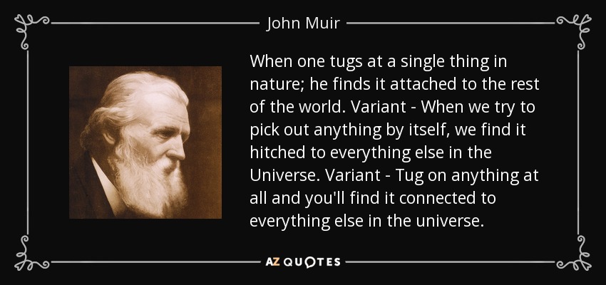 When one tugs at a single thing in nature; he finds it attached to the rest of the world. Variant - When we try to pick out anything by itself, we find it hitched to everything else in the Universe. Variant - Tug on anything at all and you'll find it connected to everything else in the universe. - John Muir