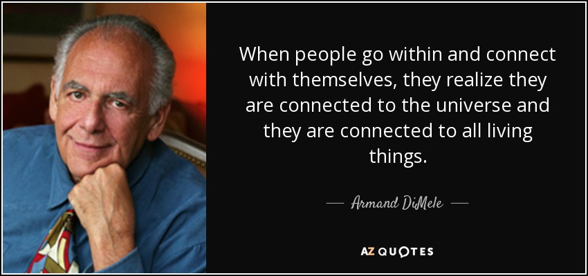 When people go within and connect with themselves, they realize they are connected to the universe and they are connected to all living things. - Armand DiMele