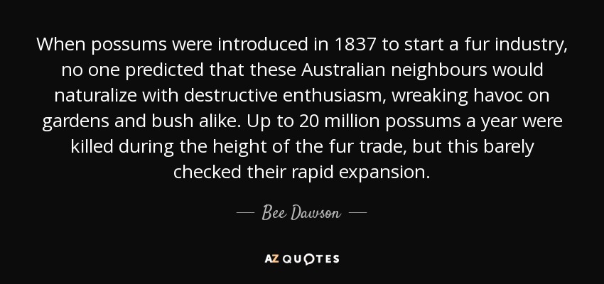 When possums were introduced in 1837 to start a fur industry, no one predicted that these Australian neighbours would naturalize with destructive enthusiasm, wreaking havoc on gardens and bush alike. Up to 20 million possums a year were killed during the height of the fur trade, but this barely checked their rapid expansion. - Bee Dawson