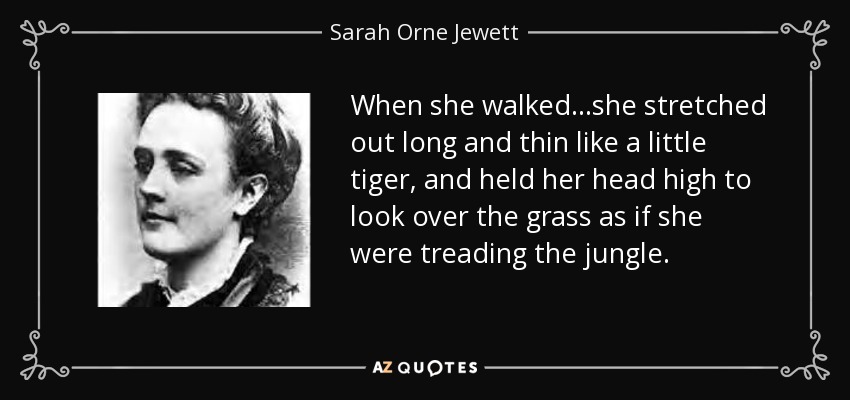 When she walked...she stretched out long and thin like a little tiger, and held her head high to look over the grass as if she were treading the jungle. - Sarah Orne Jewett