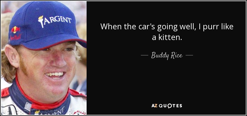 When the car's going well, I purr like a kitten. - Buddy Rice