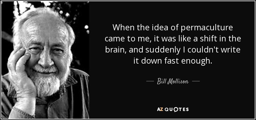 When the idea of permaculture came to me, it was like a shift in the brain, and suddenly I couldn't write it down fast enough. - Bill Mollison