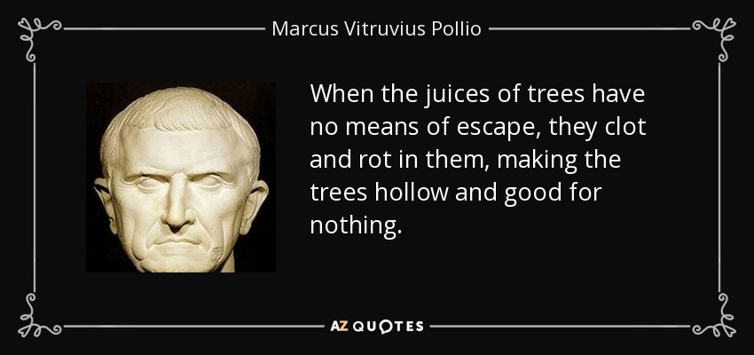 When the juices of trees have no means of escape, they clot and rot in them, making the trees hollow and good for nothing. - Marcus Vitruvius Pollio