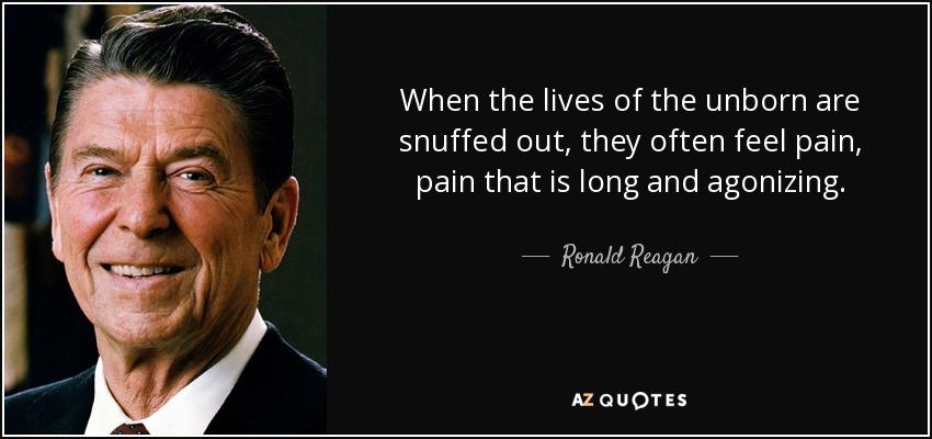 When the lives of the unborn are snuffed out, they often feel pain, pain that is long and agonizing. - Ronald Reagan