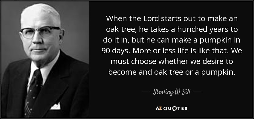 When the Lord starts out to make an oak tree, he takes a hundred years to do it in, but he can make a pumpkin in 90 days. More or less life is like that. We must choose whether we desire to become and oak tree or a pumpkin. - Sterling W Sill