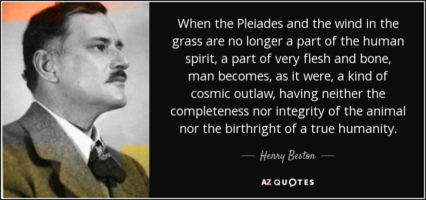 When the Pleiades and the wind in the grass are no longer a part of the human spirit, a part of very flesh and bone, man becomes, as it were, a kind of cosmic outlaw, having neither the completeness nor integrity of the animal nor the birthright of a true humanity. - Henry Beston