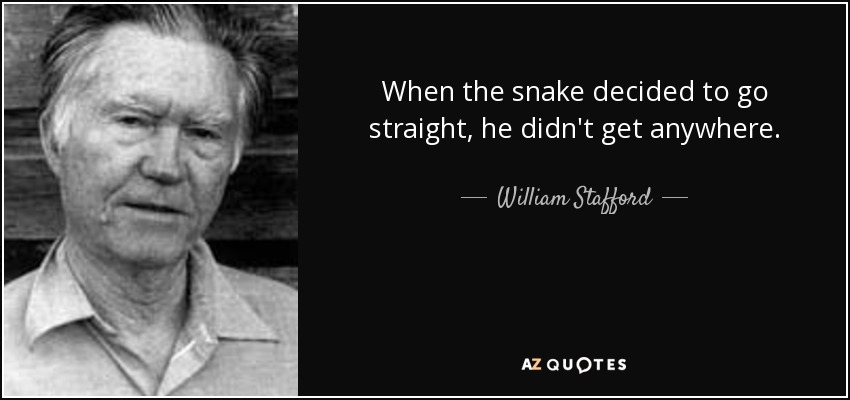 When the snake decided to go straight, he didn't get anywhere. - William Stafford
