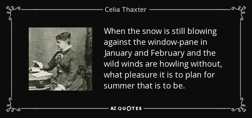 When the snow is still blowing against the window-pane in January and February and the wild winds are howling without, what pleasure it is to plan for summer that is to be. - Celia Thaxter