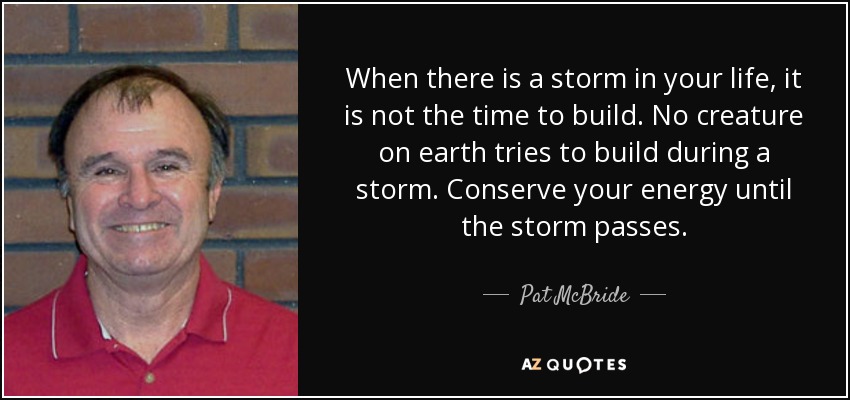 When there is a storm in your life, it is not the time to build. No creature on earth tries to build during a storm. Conserve your energy until the storm passes. - Pat McBride