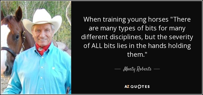 When training young horses 