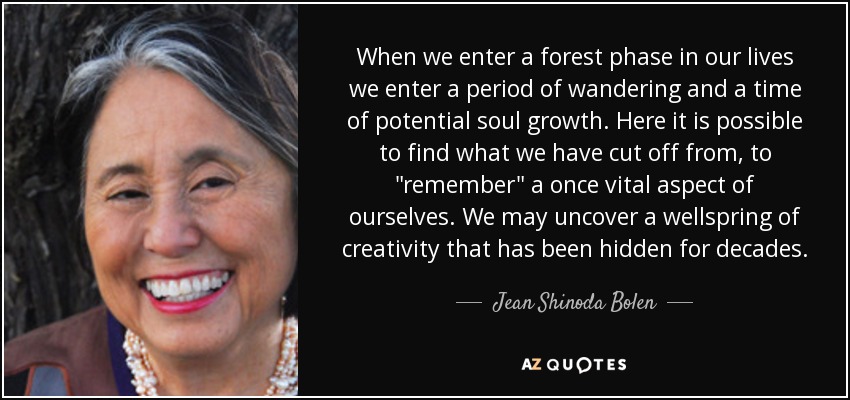 When we enter a forest phase in our lives we enter a period of wandering and a time of potential soul growth. Here it is possible to find what we have cut off from, to 