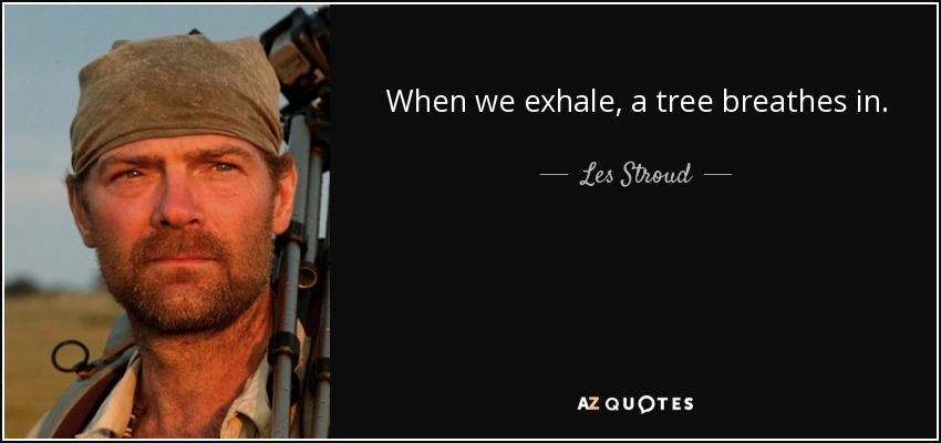 When we exhale, a tree breathes in. - Les Stroud