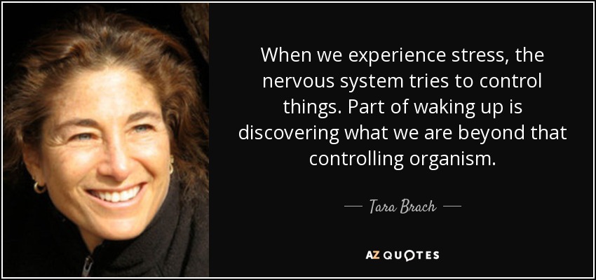 When we experience stress, the nervous system tries to control things. Part of waking up is discovering what we are beyond that controlling organism. - Tara Brach